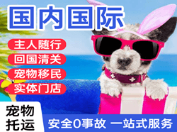 盐城南洋航空运输国际宠物托运 【国